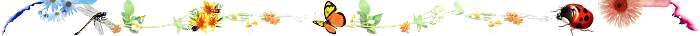 甜蜜花園邊框-下方